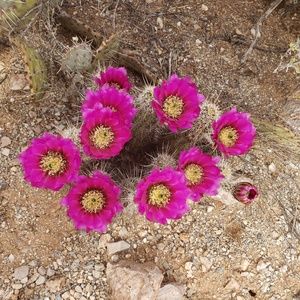 Meet your Posher, Jesse